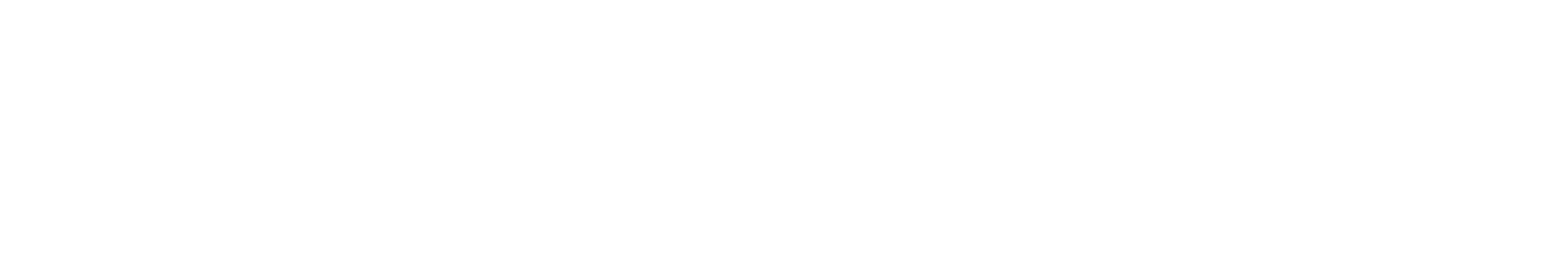Stifel | Michael T. Puente Vice President/Investments Portfolio Manager – Solutions Program