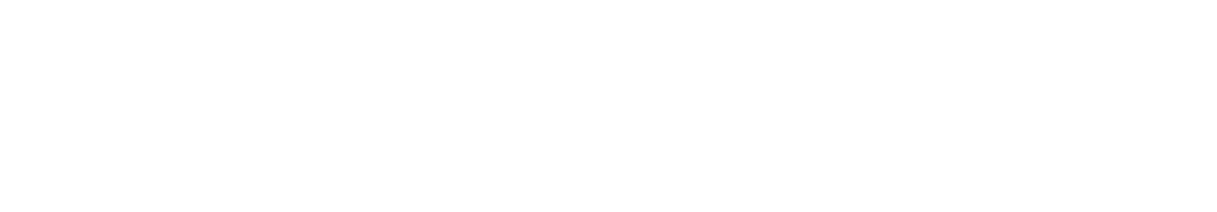 Stifel | Michael T. Puente Vice President/Investments Portfolio Manager – Solutions Program